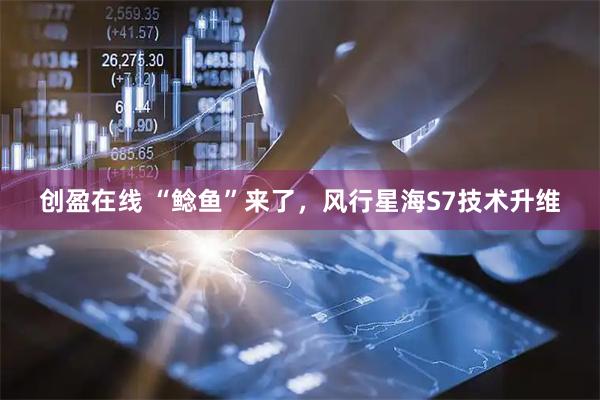 创盈在线 “鲶鱼”来了，风行星海S7技术升维