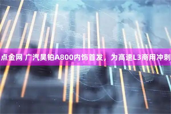 点金网 广汽昊铂A800内饰首发，为高速L3商用冲刺