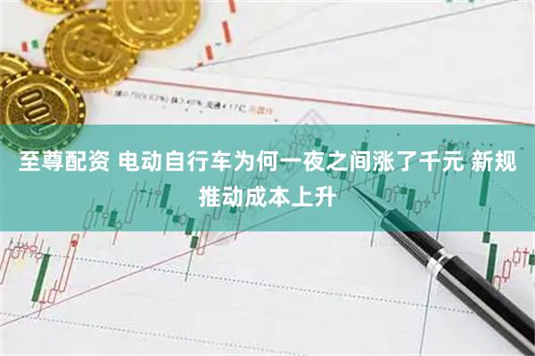 至尊配资 电动自行车为何一夜之间涨了千元 新规推动成本上升