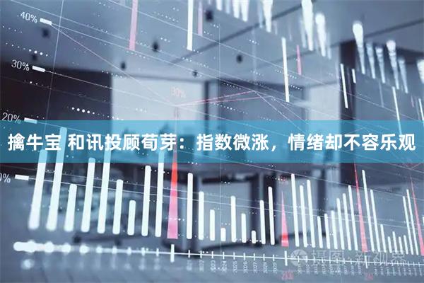 擒牛宝 和讯投顾荀芽：指数微涨，情绪却不容乐观