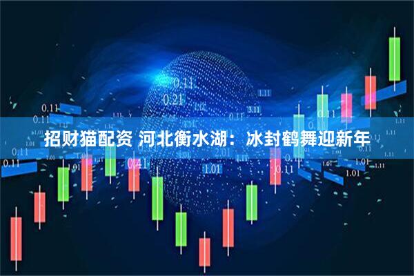招财猫配资 河北衡水湖：冰封鹤舞迎新年